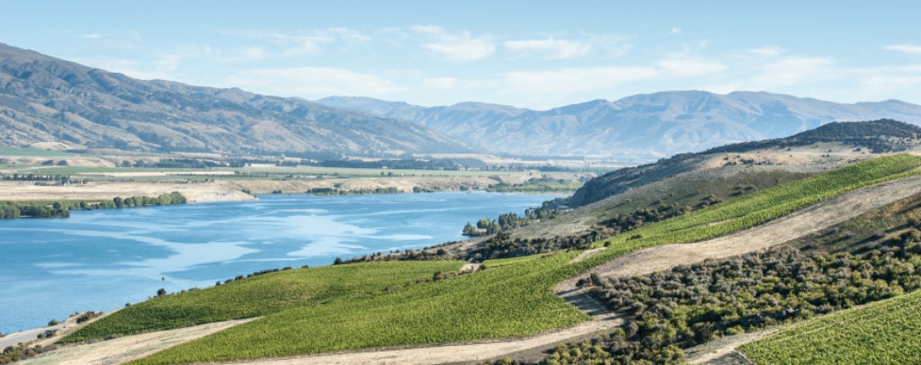 There is more than Pinot Noir in Central Otago vineyards